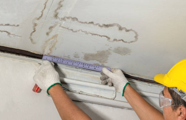 Reliable Water Damage contractor in Homerville, OH by Water Damage Irwin